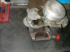 DSCN7786 DSCN7786