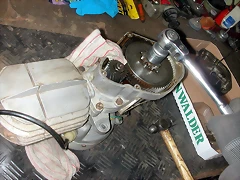 DSCN7766 DSCN7766