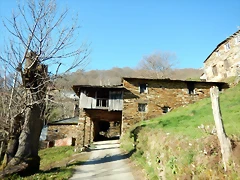 DSCN3908