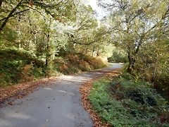 DSCN8442 DSCN8442