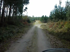 DSCN6424 DSCN6424