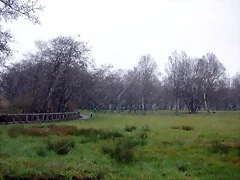 DSCN7452 DSCN7452