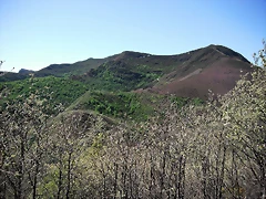 DSCF2515 DSCF2515