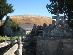 IMG_1116 IMG_1116