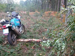 DSCN8457 DSCN8457