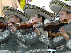 Sombreros Charros finos
