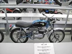 IMG_1548 IMG_1548