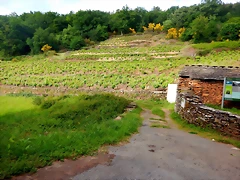 DSCN5239 DSCN5239