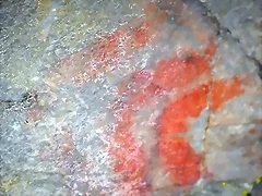 DSCN2098'4 DSCN2098'4