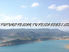 firma