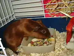 Gaara comiendo