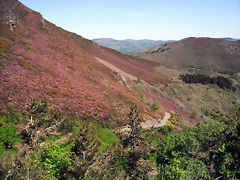 DSCF2524 DSCF2524