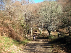 DSCN2283 DSCN2283