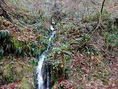DSCN3144 DSCN3144