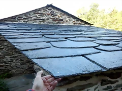 DSCN2384'1 DSCN2384'1