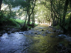 Via XIX 071 Via XIX 071