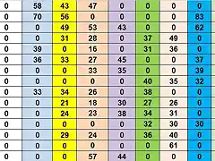 SIT CAMP TOTAL DESPRES MARTORELLES DEL 41 AL 55