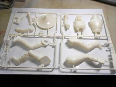 DSCN6313 DSCN6313