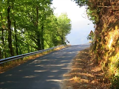 26-IMG_2366