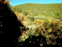DSCN8013 DSCN8013