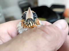 1607280399297