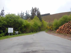 DSCN0630 DSCN0630