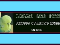 bannerfans_7868496
