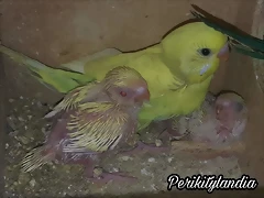FB_IMG_1574040082999 FB_IMG_1574040082999