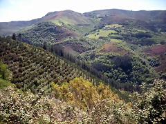 DSCN5022 DSCN5022