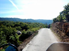 DSCN0446 DSCN0446