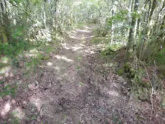 DSCN2097 DSCN2097