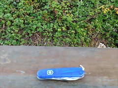 IMG_20201018_091758 IMG_20201018_091758
