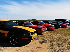 P3230686 P3230686