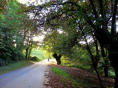 01-IMG_3458 01-IMG_3458