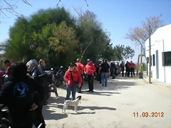 LEBRIJA 2012 016 LEBRIJA 2012 016