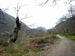 DSCN3986 DSCN3986
