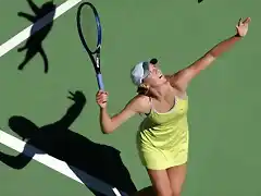 tenniscat