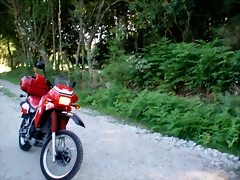 P1010120 P1010120