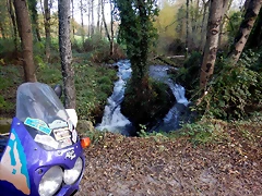 DSCN0525 DSCN0525