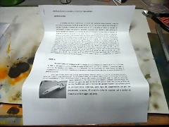 P1070005