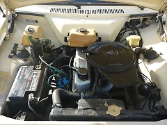 3950666C7F2A50169C4B2E50169BA4 3950666C7F2A50169C4B2E50169BA4