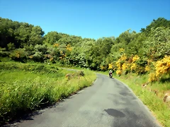 DSCN2189 DSCN2189