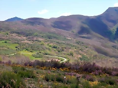 DSCN9476 DSCN9476