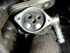 DSCN5711 DSCN5711
