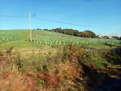 DSCN4563 DSCN4563