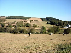 DSCN7897