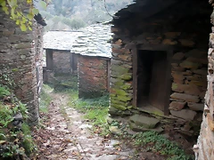 DSCN1158 DSCN1158