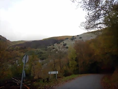 DSCN2889 DSCN2889