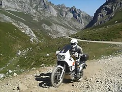 81