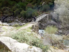 DSCN1965 DSCN1965